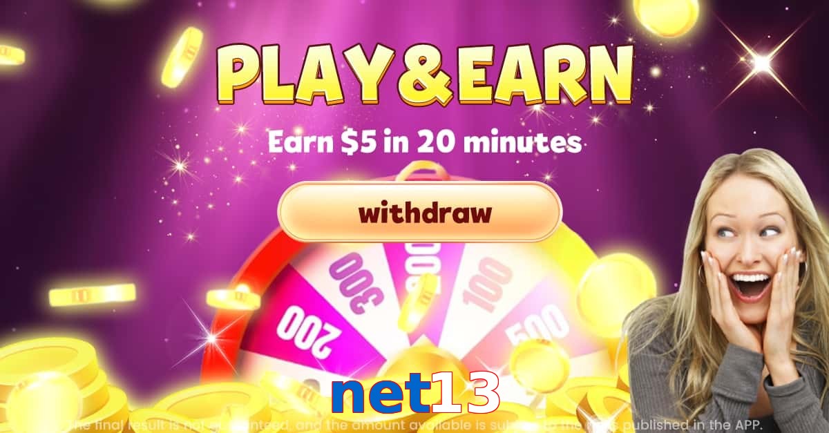 net13