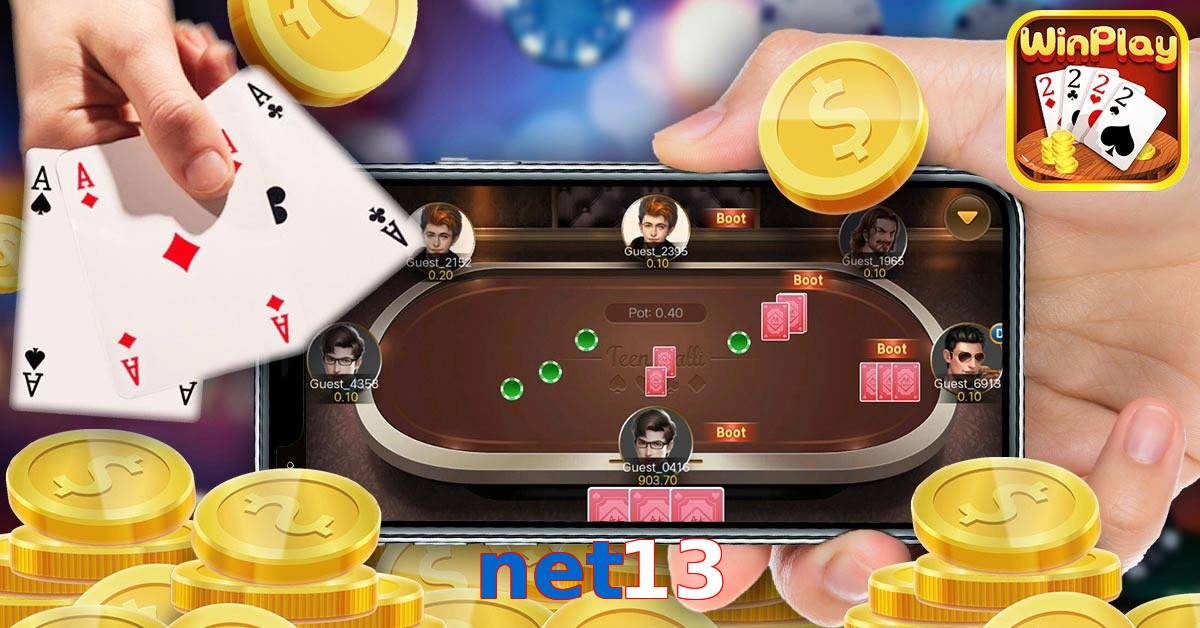 net13