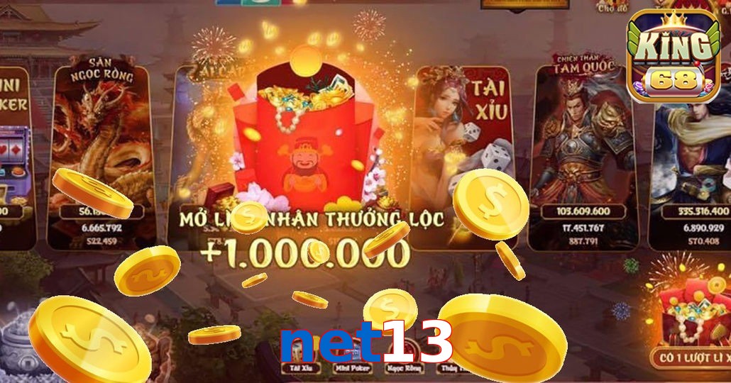 net13